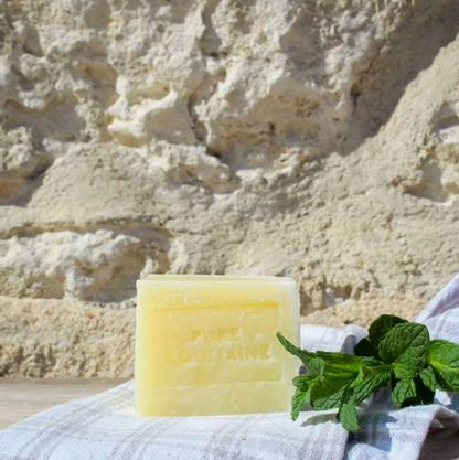 Savon vaisselle solide menthe BIO - Pure Aquitaine